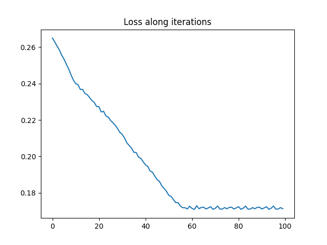 Loss along iterations